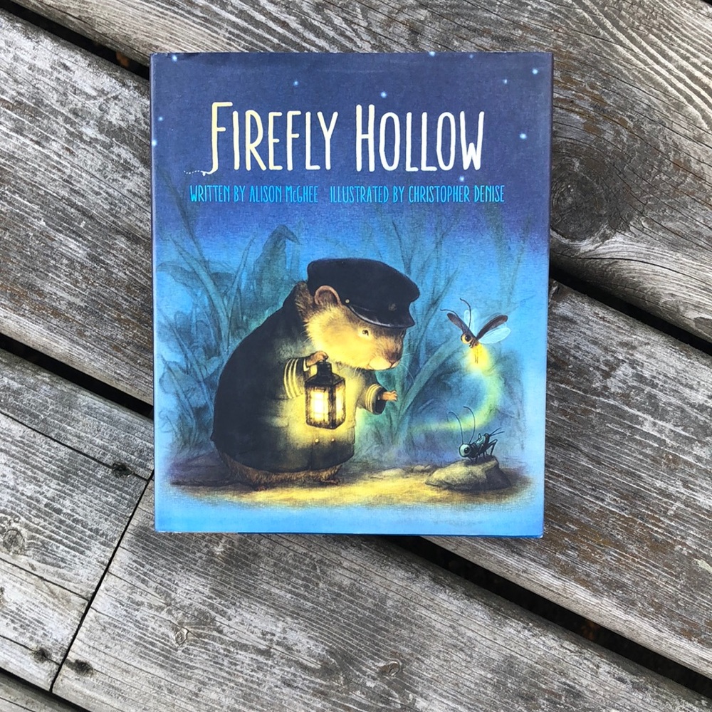 Firefly Hollow Hardcover Book

by Alison McGhee